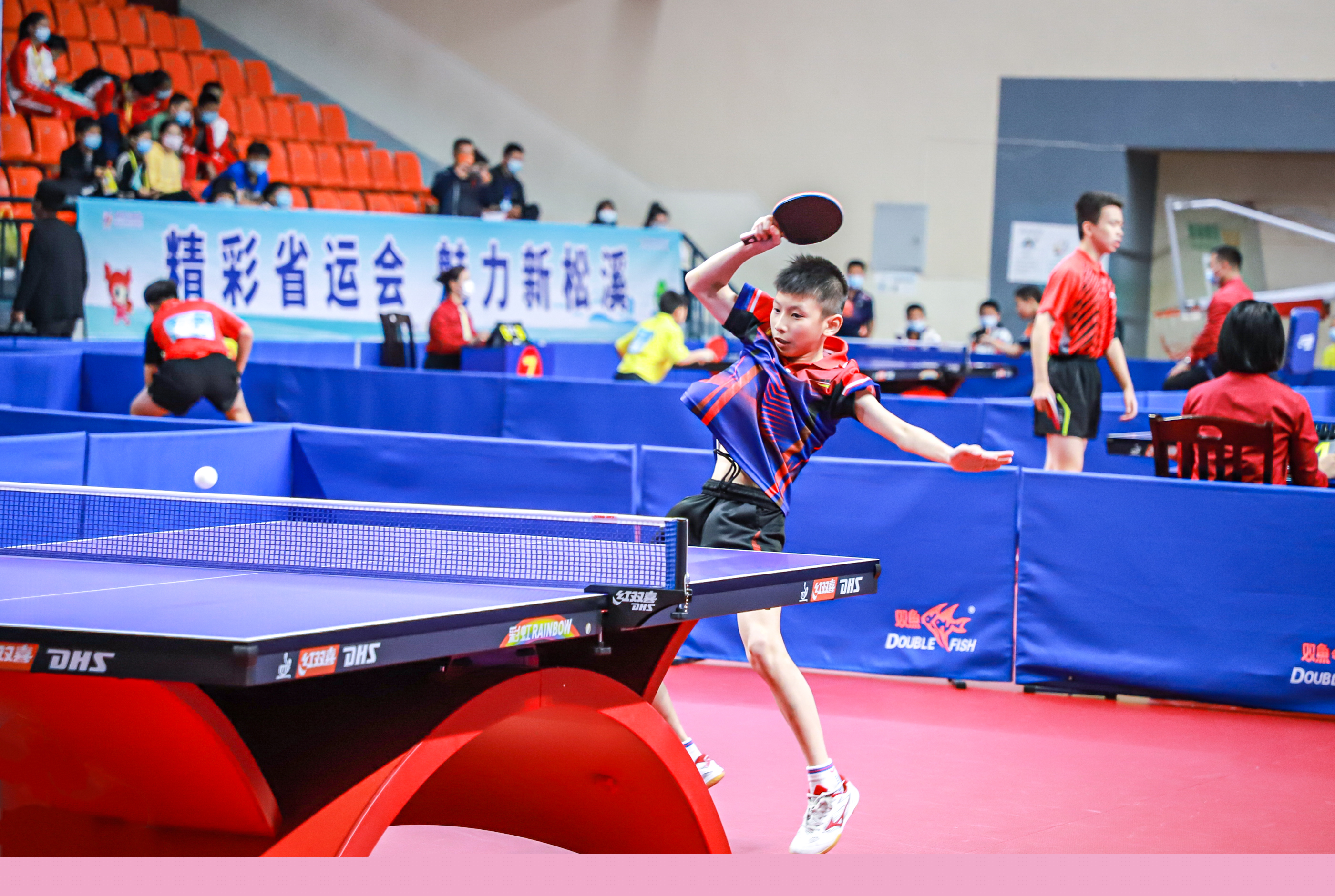 特尔与博埃 特尔与博埃